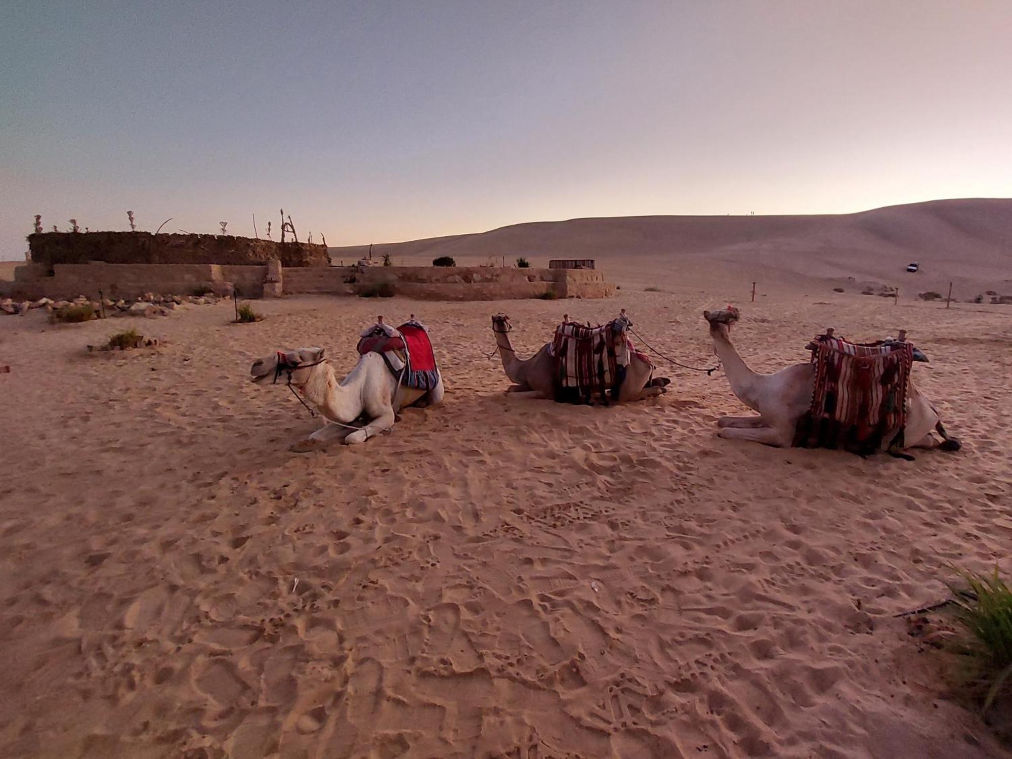 Отель Hayaat Siwa Hot Spring Siwa Oasis Экстерьер фото